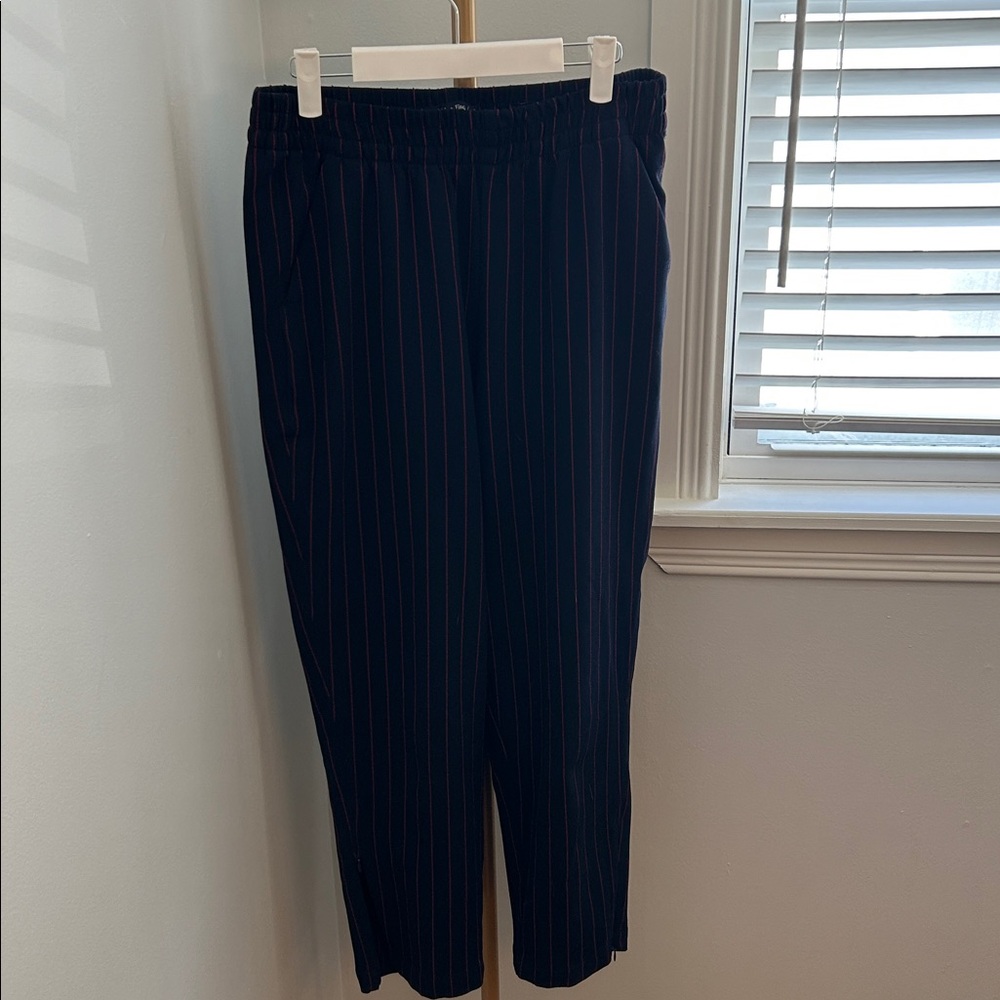 Abercrombie & Fitch Navy and Red Striped Dress Pants